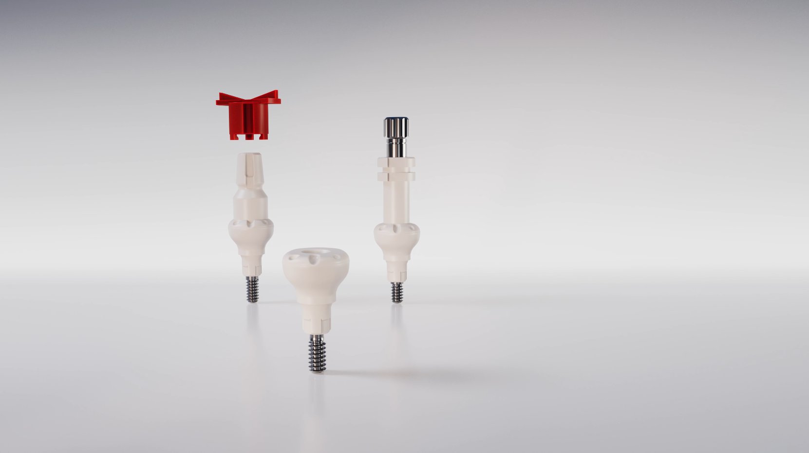 CAMLOG Gingividuals – Product components