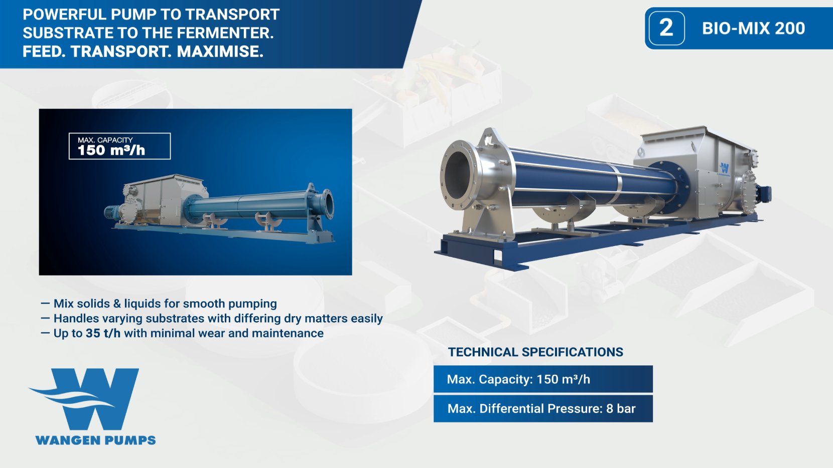 Wangen Pumps – 3D product visualization